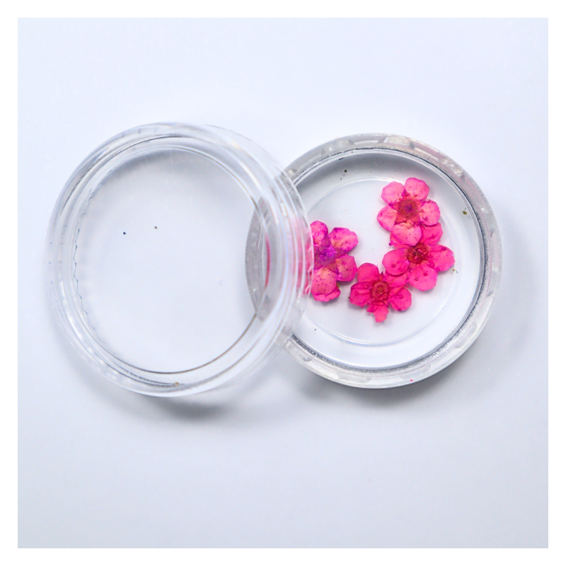 Flores Secas
